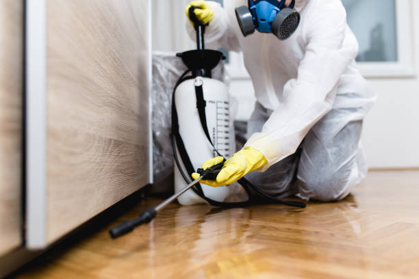 Best Mosquito Control Services  in Lafayette, GA