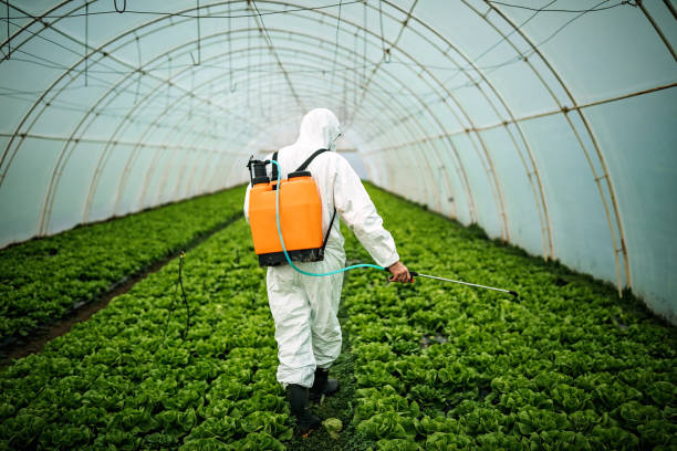 Best Affordable Pest Control Services  in Lafayette, GA