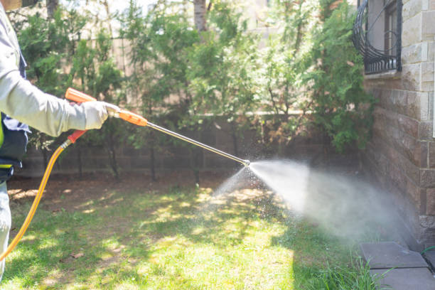 Best Rat Extermination Near Me  in Lafayette, GA