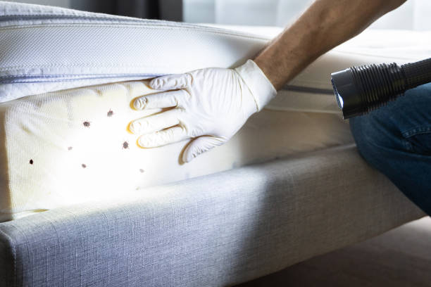 Best Affordable Pest Control Services  in Lafayette, GA