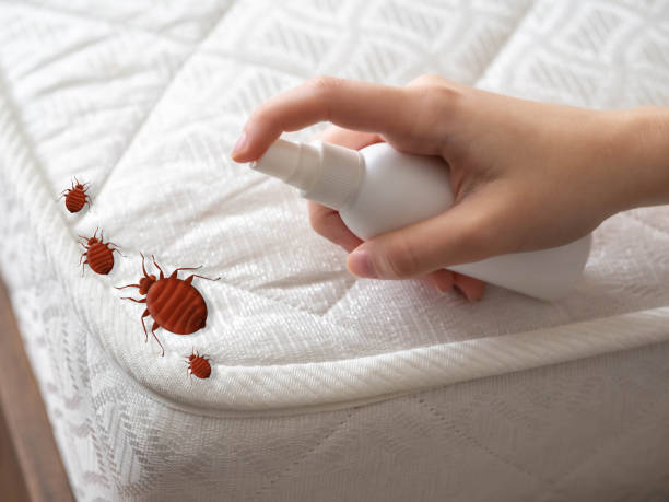 Best Best Pest Control Companies  in Lafayette, GA